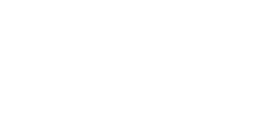 Moving car representing food delivery in Prosper Texas